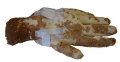 Thumbnail for version as of 16:46, 25 February 2024