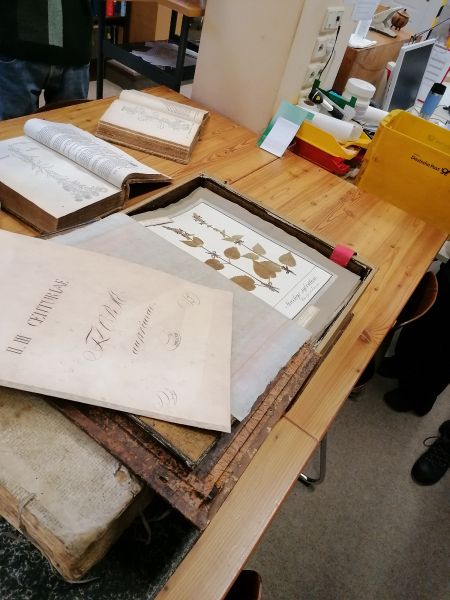 File:Herbarium10.jpg