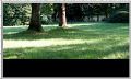 Thumbnail for version as of 08:58, 29 January 2011