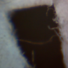 Hole in paper Mikroskop.jpg
