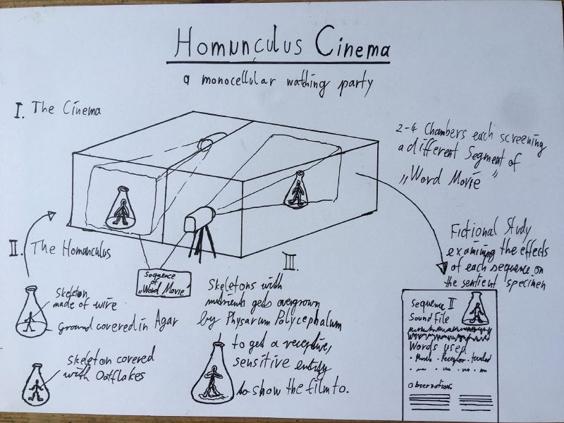 File:Homunculus Cinema.jpg