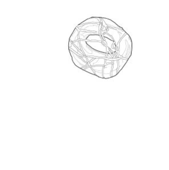 File:Illu cell.jpg