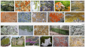 Thumbnail for version as of 07:00, 15 July 2016
