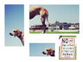 Thumbnail for version as of 23:17, 20 September 2012