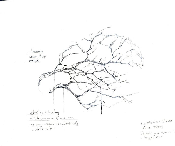 Sketch 2, Lemon tree archive, Dania González Sanabria