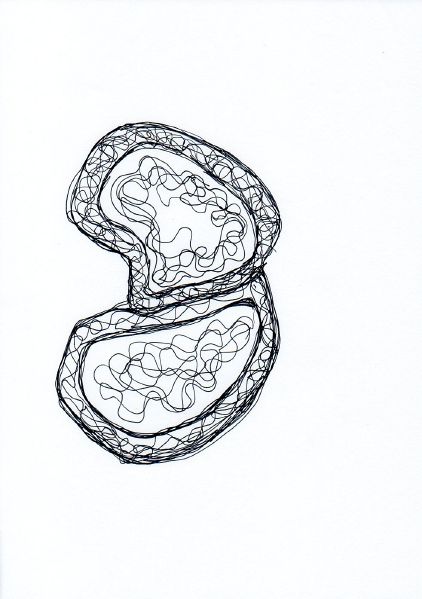 File:Img012.jpg