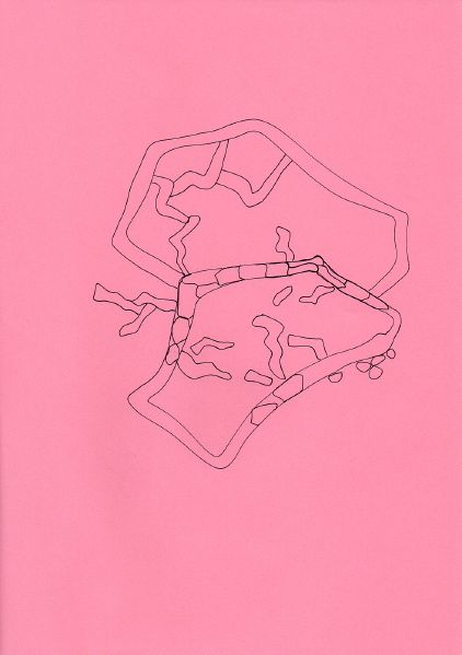 File:Img022.jpg