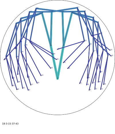 Connection lines between (dead) fish of 6 generations