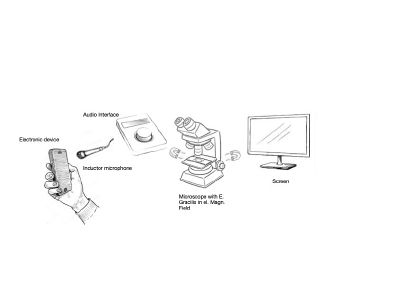 Invisible fields sketch 3.jpg