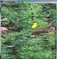 Thumbnail for version as of 16:38, 18 January 2016