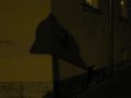 Thumbnail for version as of 11:21, 8 December 2012