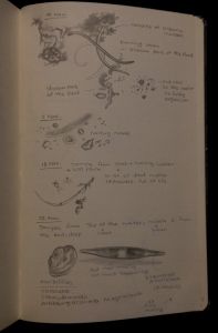 Journal 3.jpg