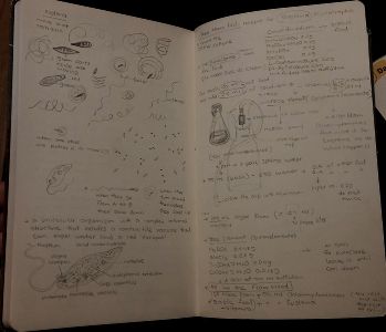 Journal 4.jpg