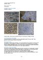 Thumbnail for version as of 07:56, 20 April 2016