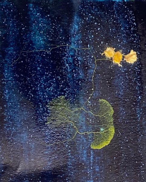 File:KakaoTalk 20211216 125055303 03.jpg