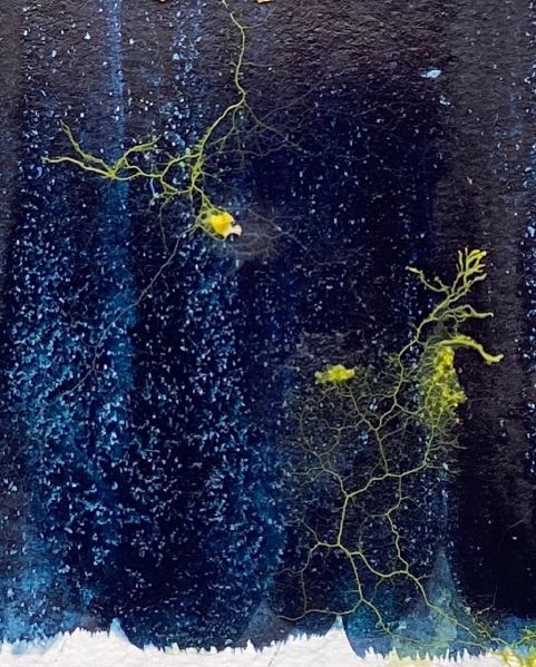 File:KakaoTalk 20211216 125055303 04.jpg