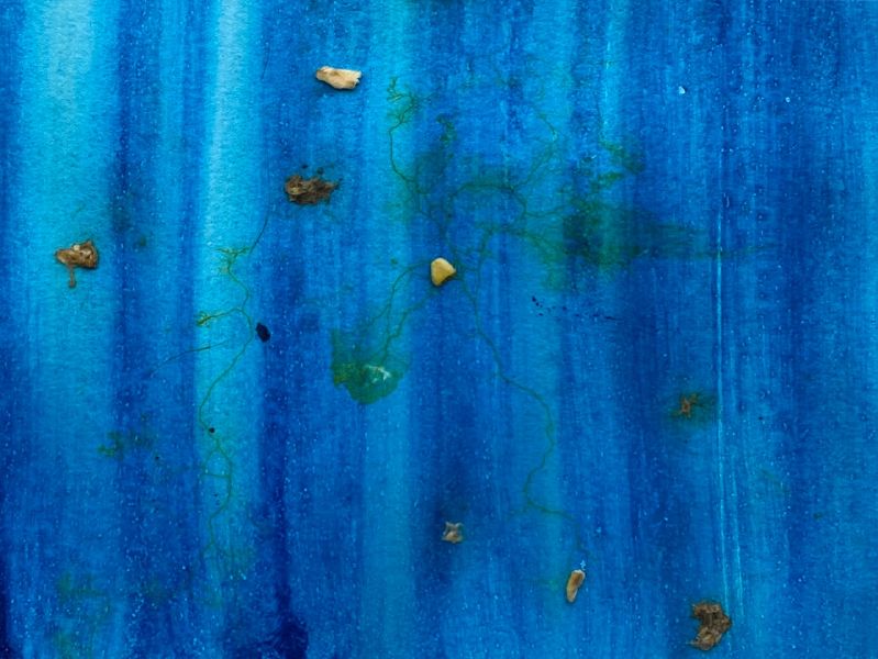 File:KakaoTalk 20211216 125055303 05.jpg