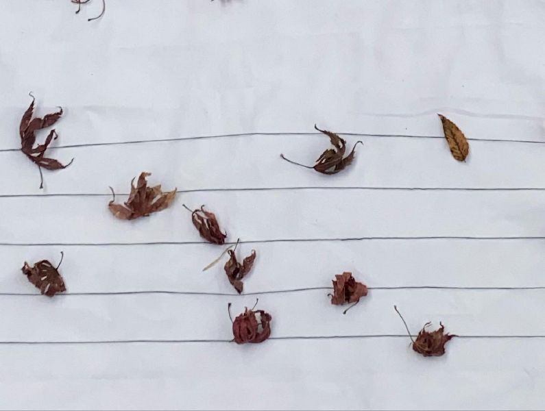 File:KakaoTalk 20220111 123516364 02.jpg