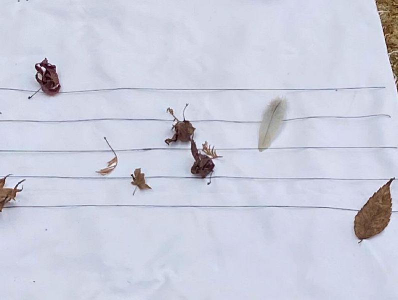 File:KakaoTalk 20220111 123516364 04.jpg