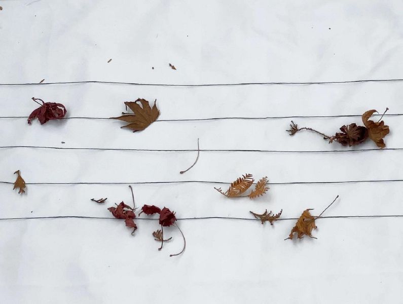 File:KakaoTalk 20220111 123516364 06.jpg