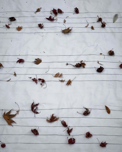 File:KakaoTalk 20220111 125201333.jpg