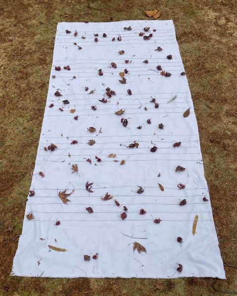 File:KakaoTalk 20220111 125201333 02.jpg