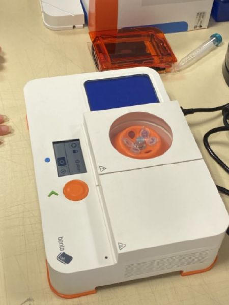 File:Kaki gelElectrophoresis 9.jpeg