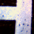 Thumbnail for version as of 23:27, 30 November 2012