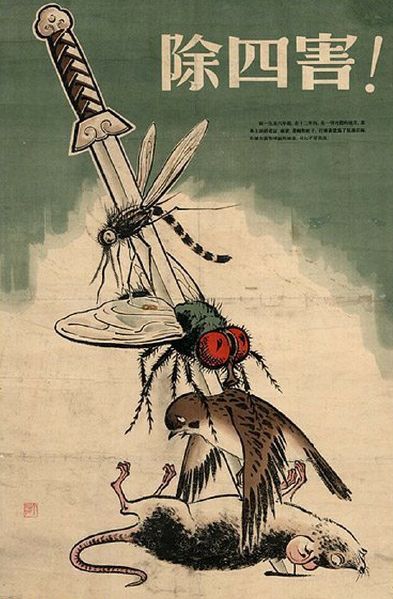 File:Kill bird and insect.jpg
