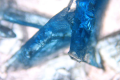 Thumbnail for version as of 10:42, 26 January 2016