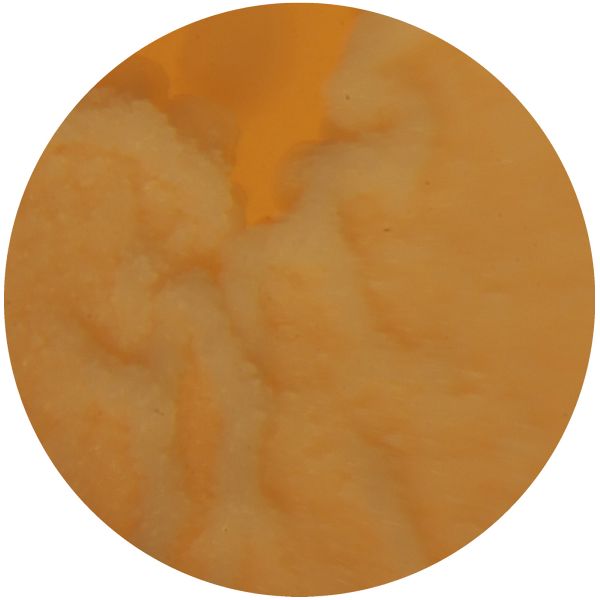 File:LACTOBACILLUS 2-b.jpg