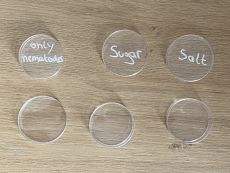 Labeled petri dishes.jpeg