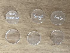 Labeled petri dishes.jpeg