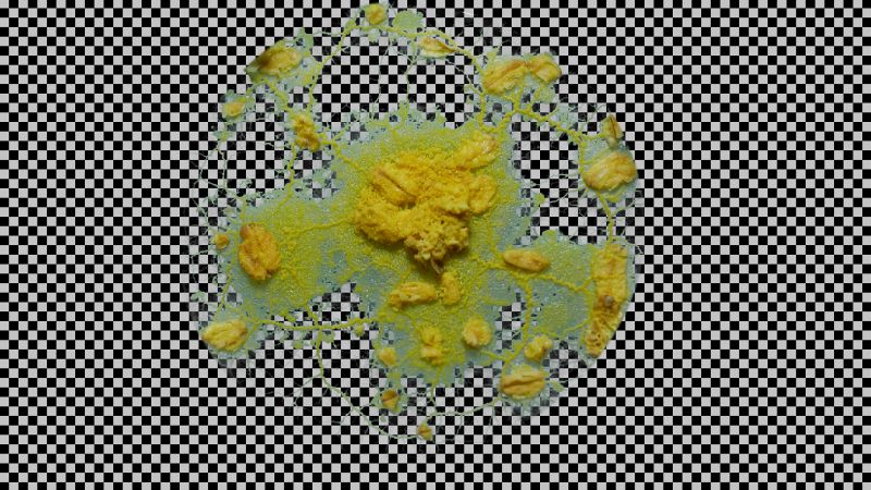 File:LumetriHSL 00000 00000.jpg