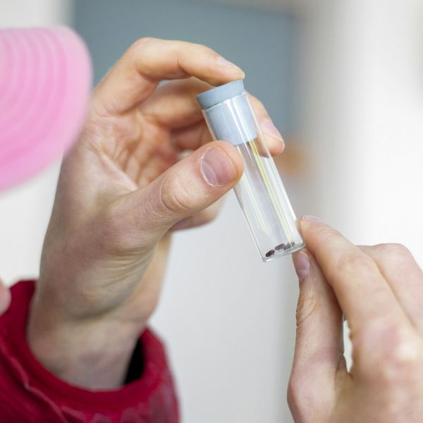 File:MG 2897 Kopie.jpg