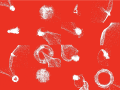 Thumbnail for version as of 18:42, 8 November 2020
