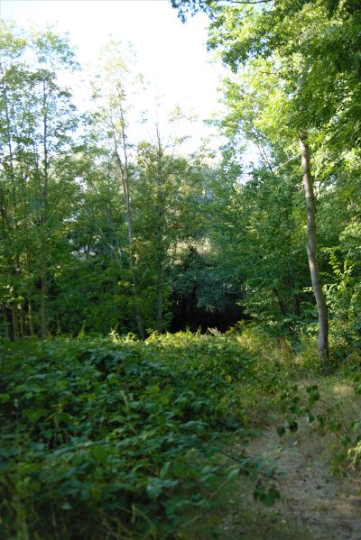 File:Mein Ort (2).jpg