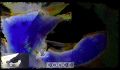 Thumbnail for version as of 12:12, 19 April 2020