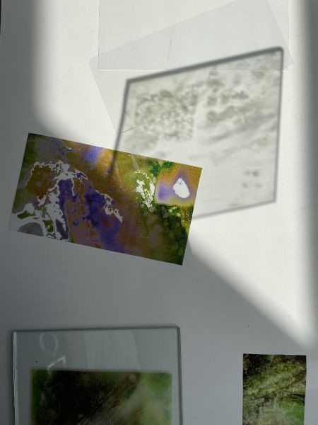 File:Micro2.1.jpg