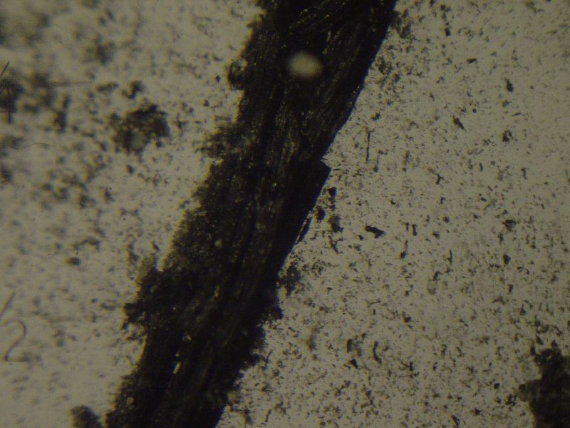 File:Mikanim1.gif
