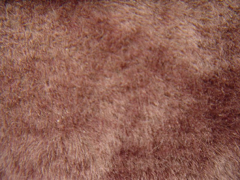 File:Mikbild5.jpg