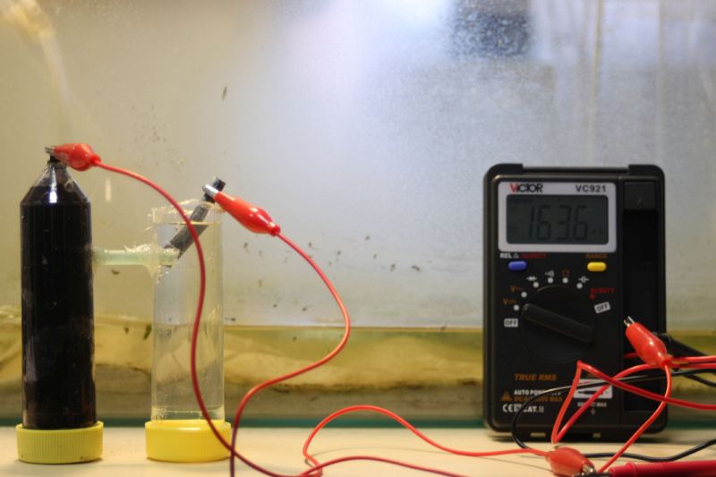 File:Mikrobielle Batterie.jpg