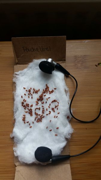File:Mit Kopfhörern bespielte Kresse.jpeg