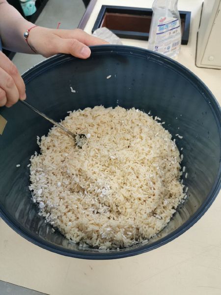 File:Mixed rice.jpg