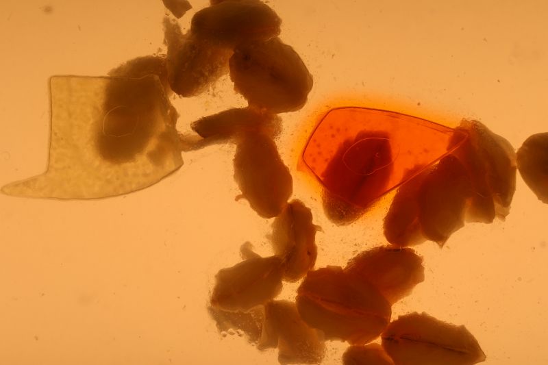 File:Mixfinal.jpg