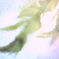 Thumbnail for version as of 22:43, 30 November 2012