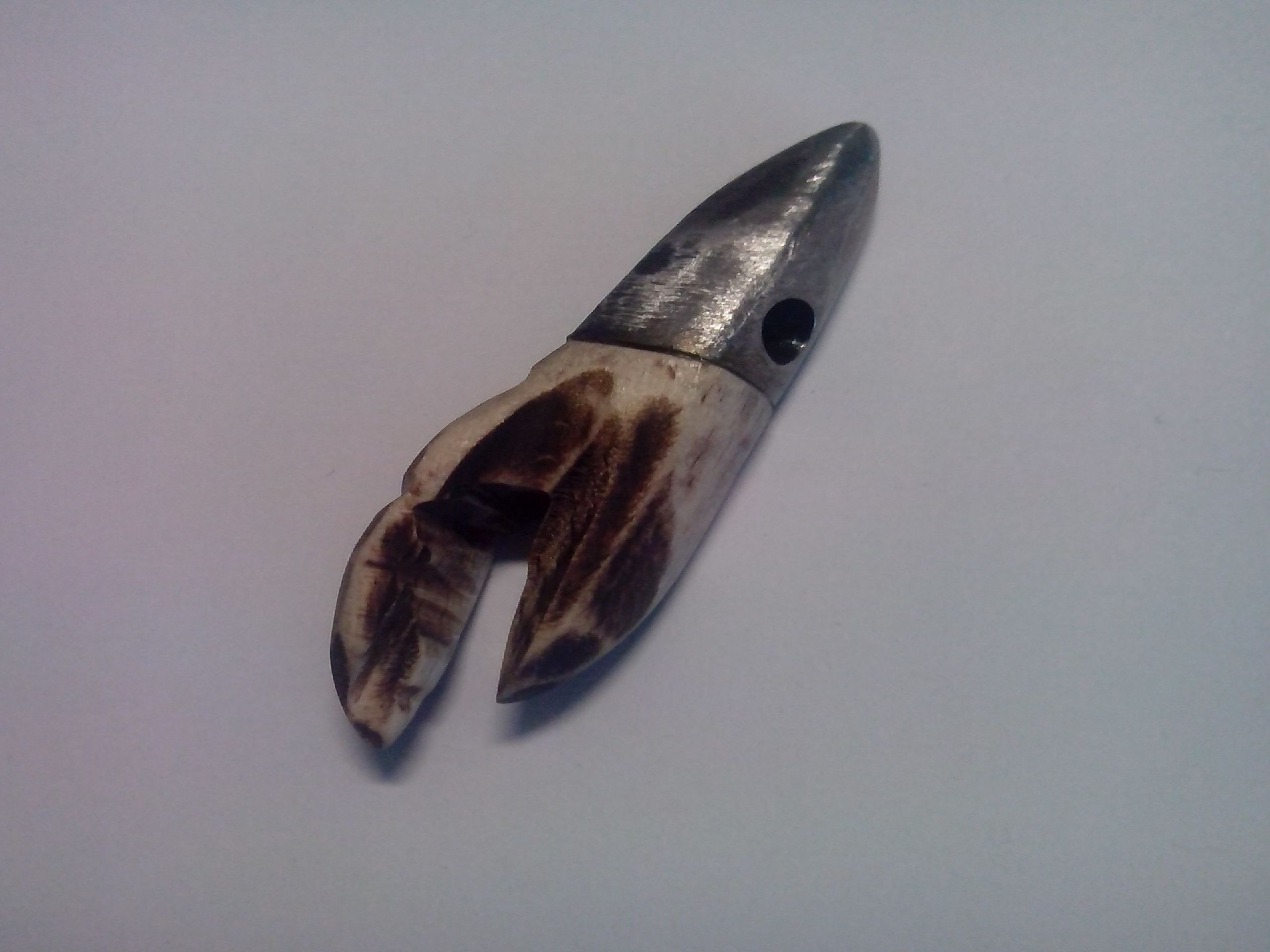 Morpho3.jpg