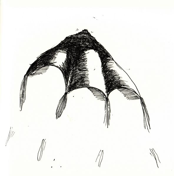 File:Motte3 lydia.jpg