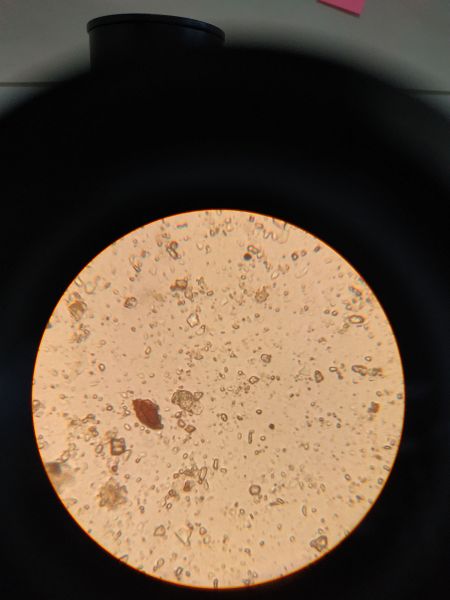 File:Muddy-water1.jpeg