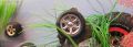 Thumbnail for version as of 15:01, 19 March 2012